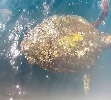 Hotel Nana Kamena Vourla