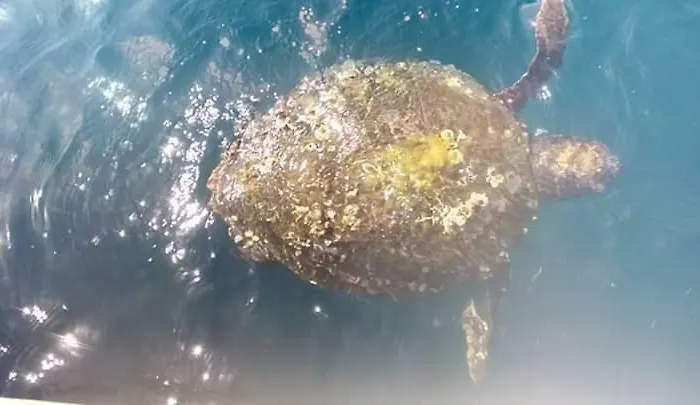 Hotel Nana Kamena Vourla